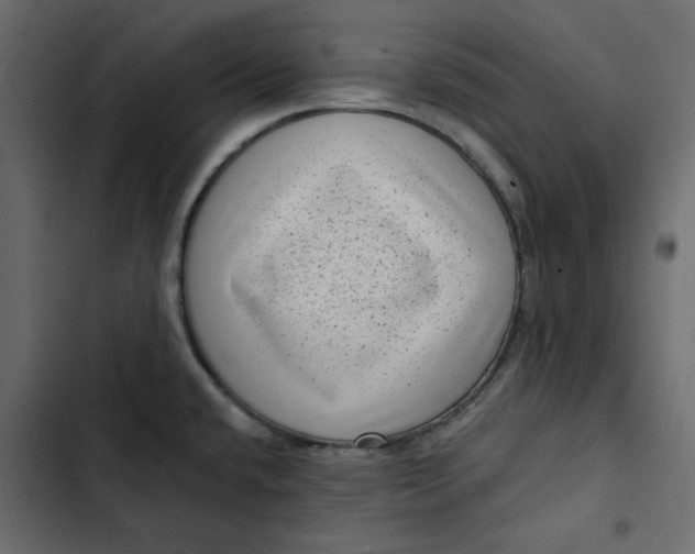 X0000102831432200809021303