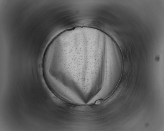 X0000102831434200809021303