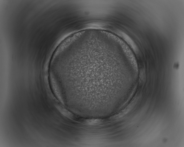 X0000102831435200809021303