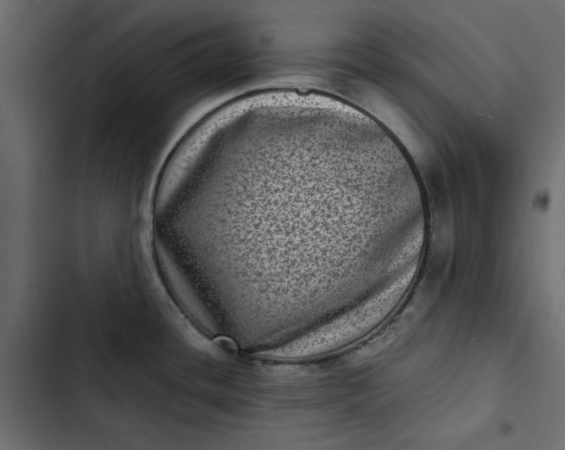 X0000102831436200809021303