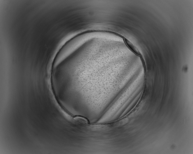 X0000102831437200809021303