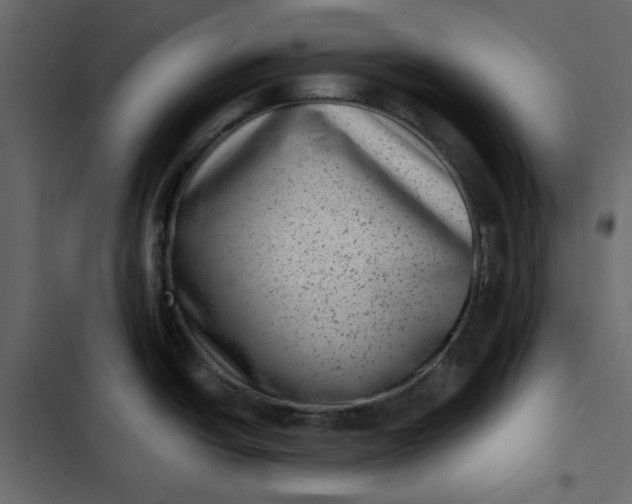 X0000102831438200809021303