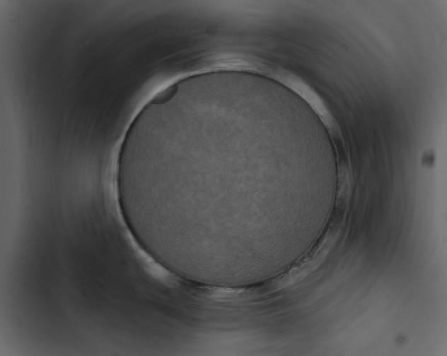 X0000102831439200809021303