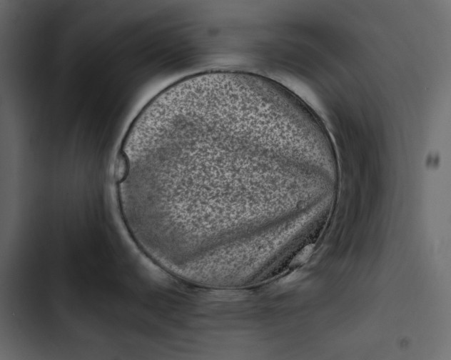 X0000102831440200809021303