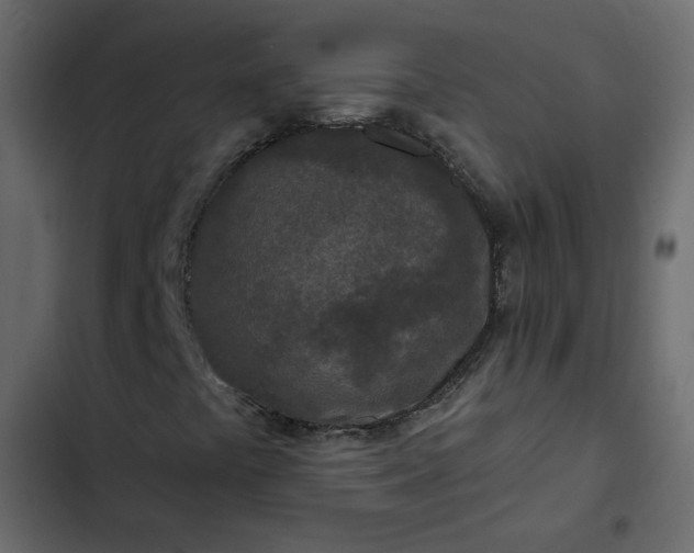 X0000102831441200809021303