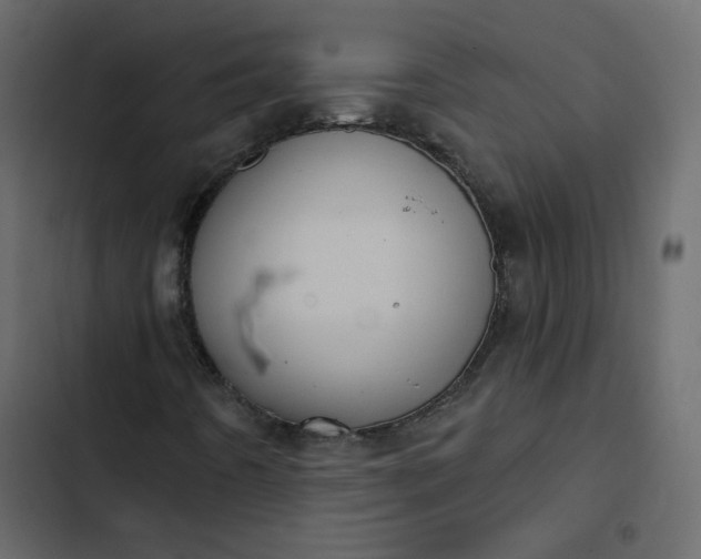 X0000102831442200809021303