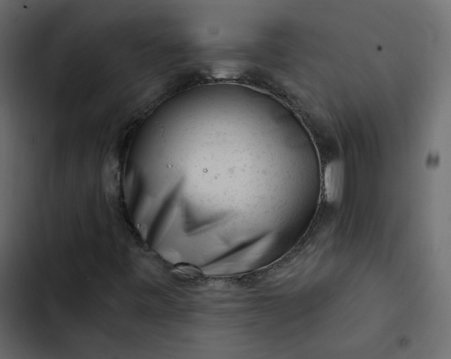 X0000102831443200809021303