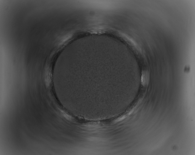 X0000102831444200809021303