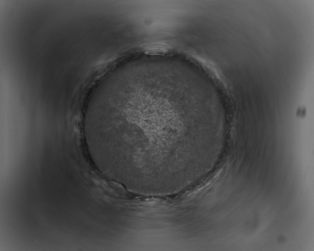 X0000102831445200809021303