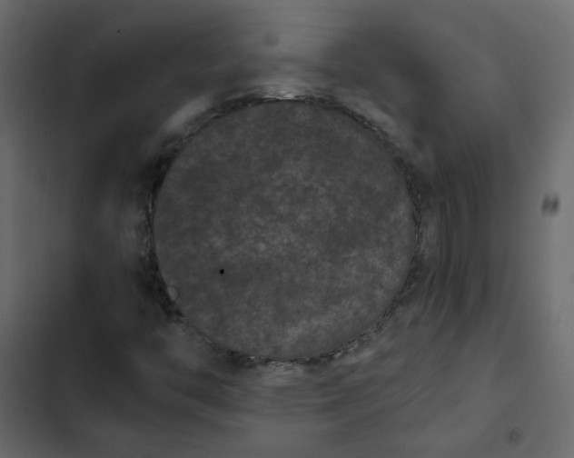 X0000102831446200809021303