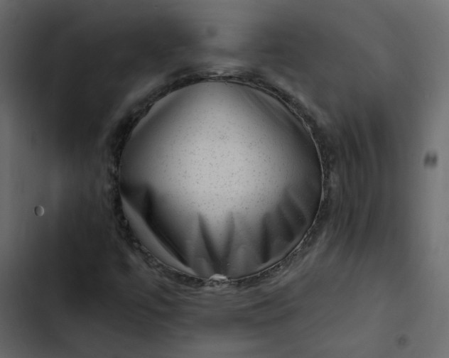 X0000102831447200809021303