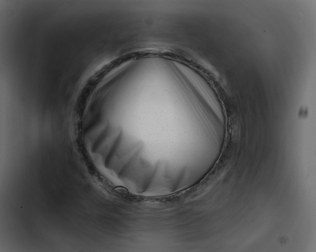 X0000102831448200809021303