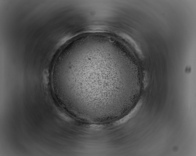 X0000102831449200809021303