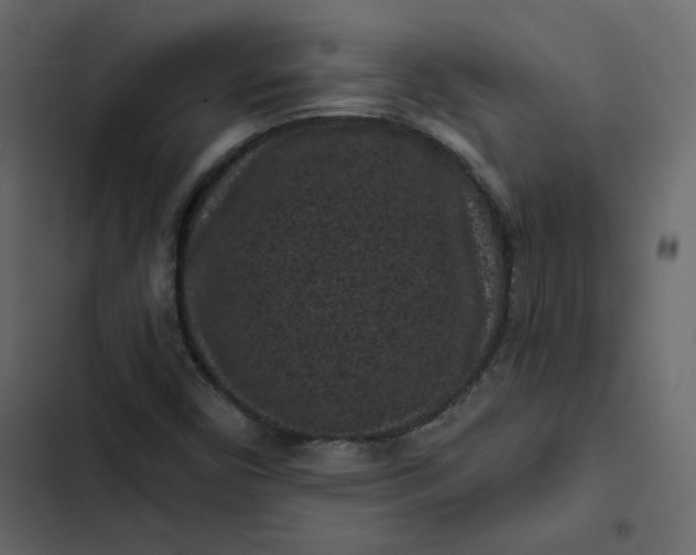 X0000102831450200809021302