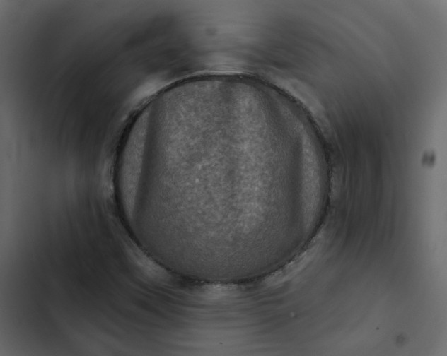 X0000102831451200809021302