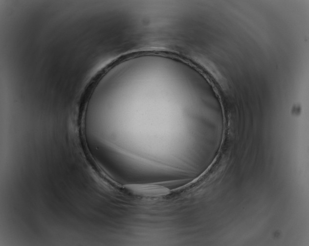 X0000102831452200809021302