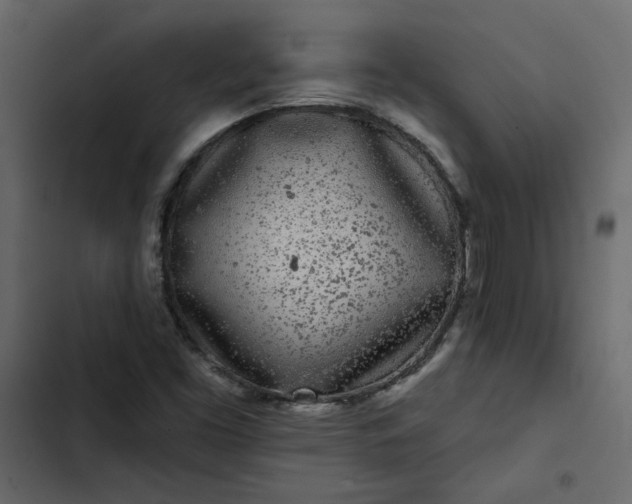 X0000102831453200809021302