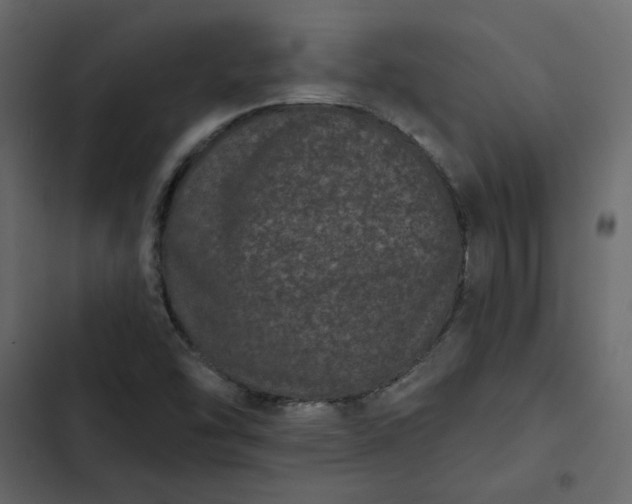 X0000102831454200809021302