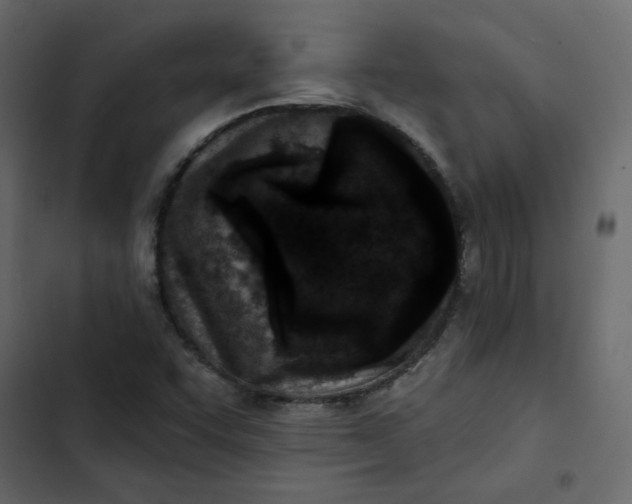 X0000102831455200809021302