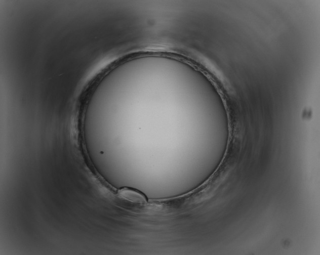 X0000102831456200809021302