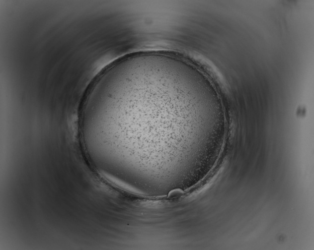 X0000102831457200809021302