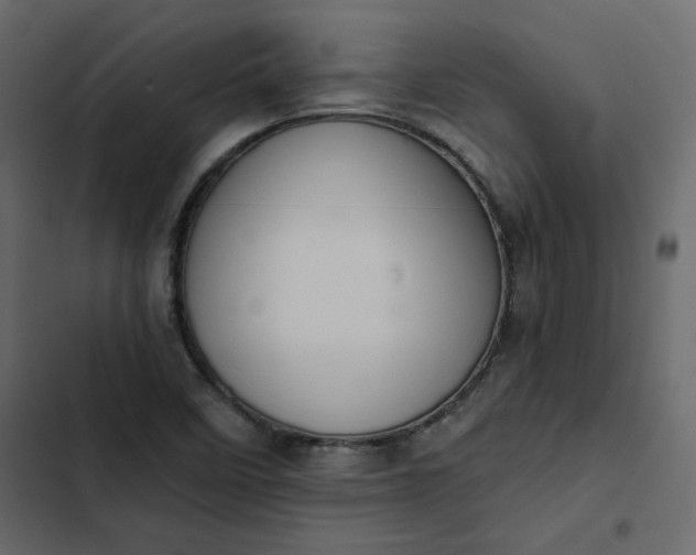 X0000102831458200809021302