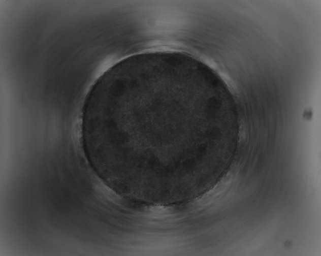 X0000102831459200809021302