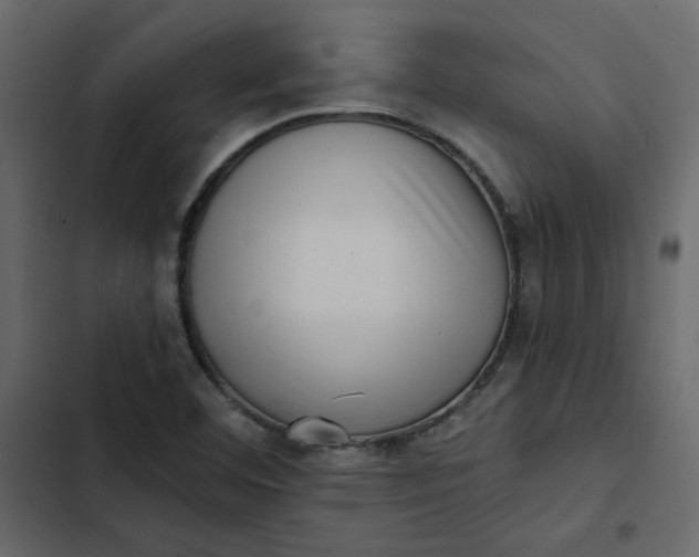 X0000102831460200809021302