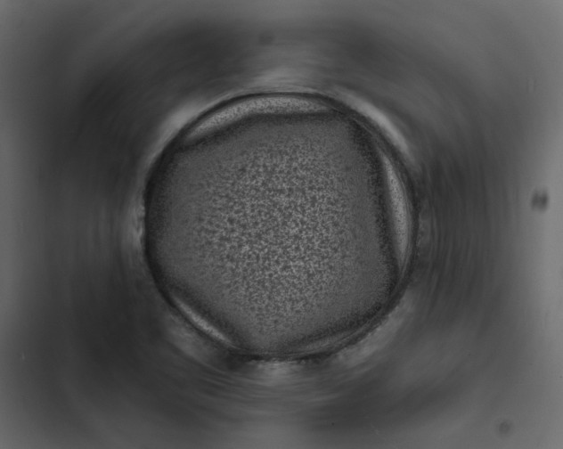 X0000102831461200809021302