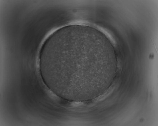 X0000102831462200809021302