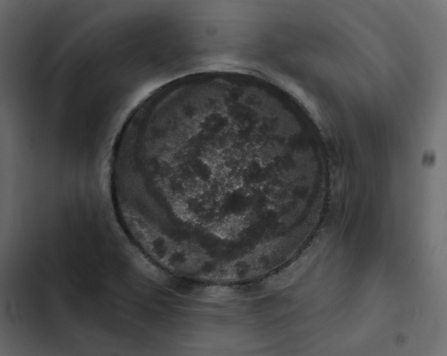 X0000102831463200809021302