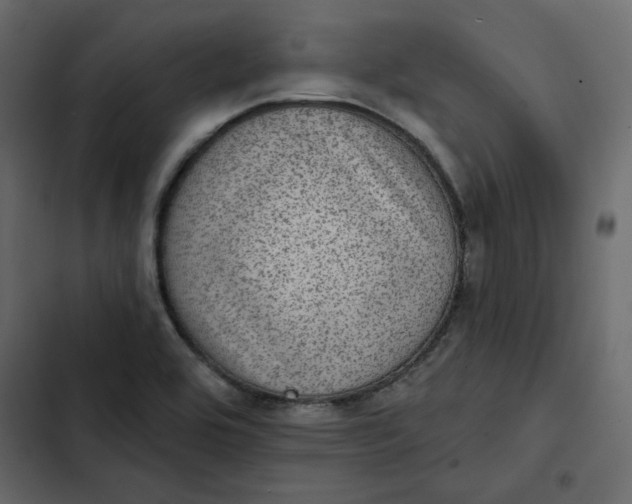 X0000102831464200809021302