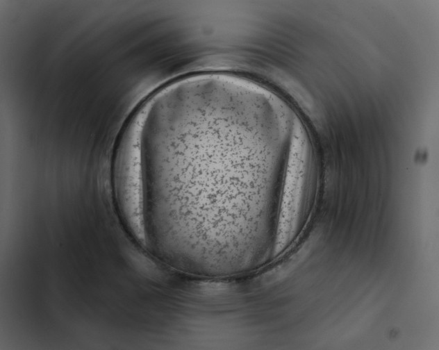 X0000102831465200809021302