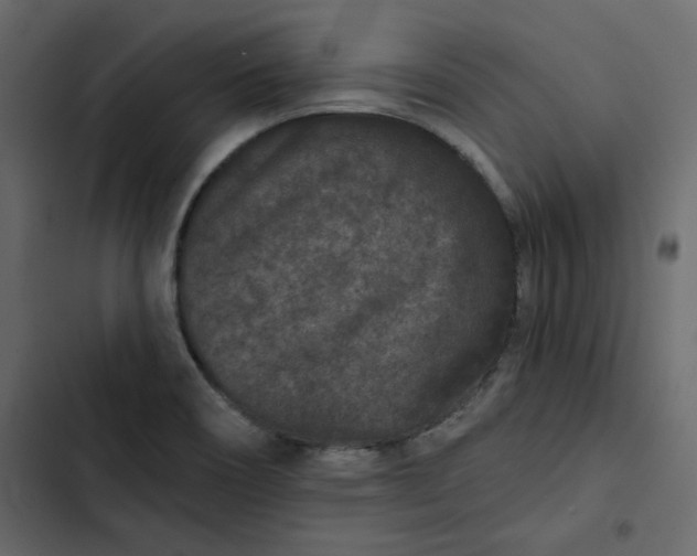 X0000102831466200809021302