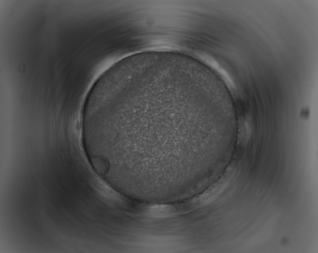 X0000102831467200809021302