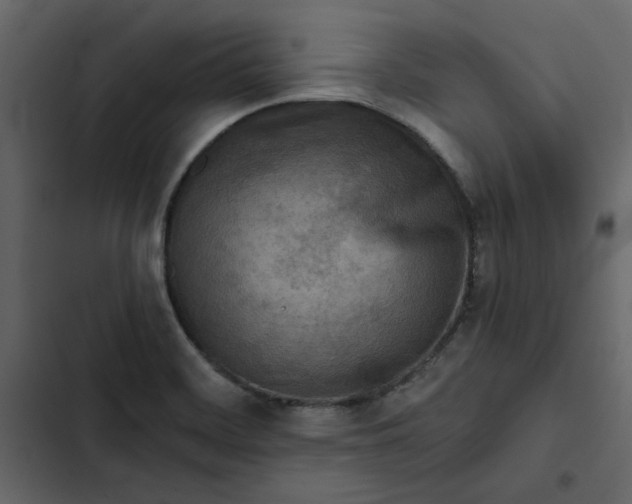 X0000102831468200809021302