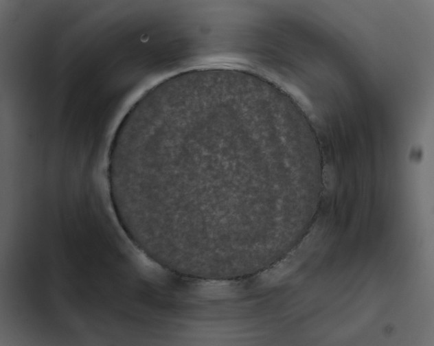 X0000102831470200809021302