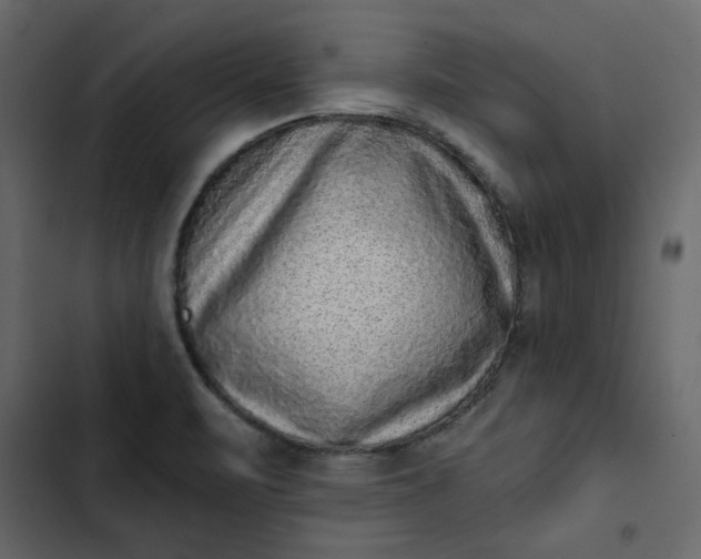 X0000102831471200809021302