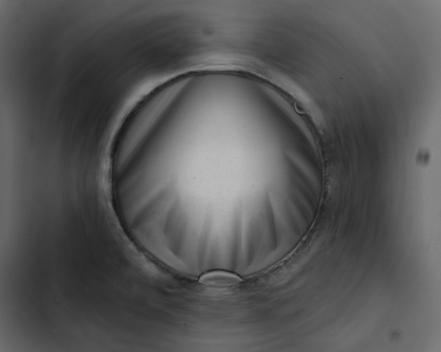 X0000102831472200809021302