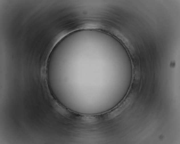 X0000102831473200809021302