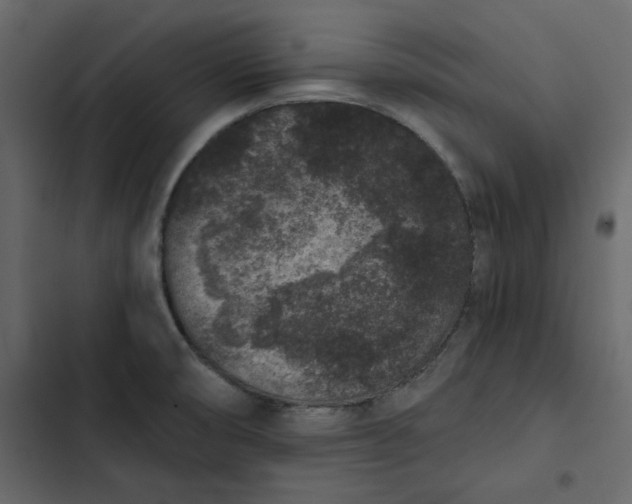 X0000102831474200809021302