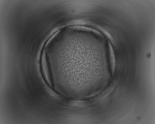 X0000102831475200809021302