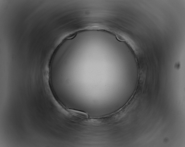 X0000102831476200809021302