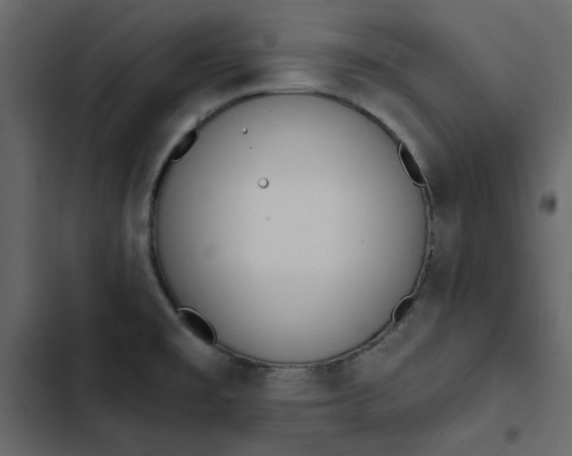 X0000102831477200809021302