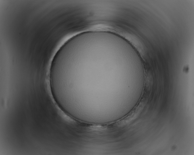 X0000102831478200809021302