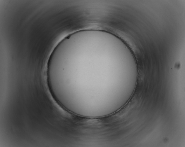 X0000102831479200809021302