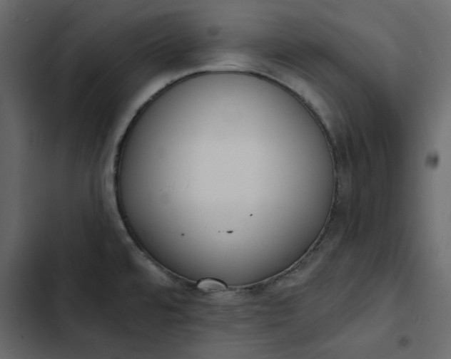 X0000102831480200809021302