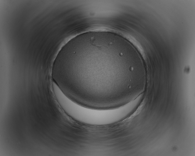 X0000102831481200809021302