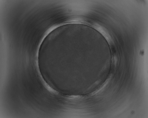 X0000102831482200809021302