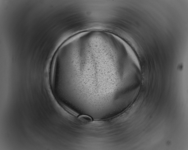 X0000102831483200809021302